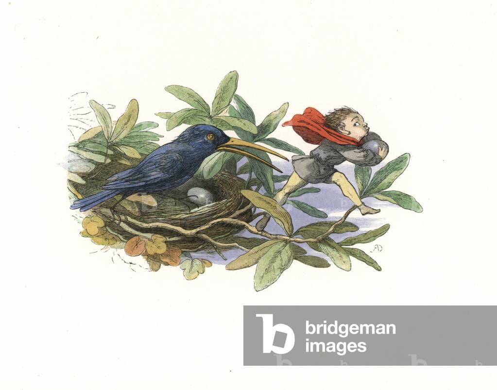 Elf stealing eggs from a bird's nest. Handcoloured woodblock print by Edmund Evans after an illustration by Richard Doyle from In Fairyland, a series of Pictures from the Elf World, Longman, London, 1870.