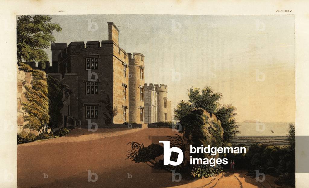 Orchard Cottage, Isle of Wight, the seat of Sir Willoughby Gordo, 1825 (engraving)