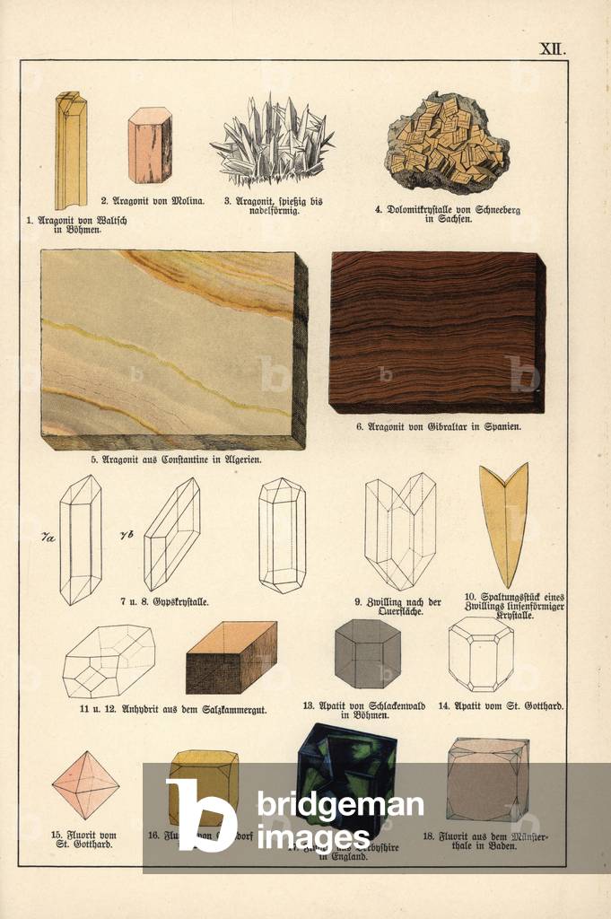 Minerals and crystals (aragonite, dolomite, anhydrite, apatite and fluorine) - Chromolithography of Mineralogy by Gustav Adolph Kengott (1818-1897), extract from Natural History by Gotthilf Heinrich von Schubert (1780-1860), 1886 - Minerals and crystals including aragonite, dolomite, anhydrite, apite, apitus Chromolithograph from Dr. Aldolph Kenngott's “” Mineralogy”” section in Gotthilf Heinrich von Schubert's “” Naturgeschichte,”” Schreiber, Munich, 1886