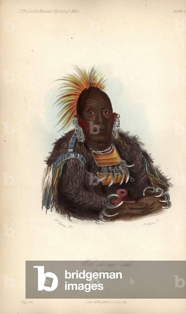 The Surrounder, Wah-no-ne-sah, an Otoe chief. His shirt is the skin of a grizzly bear with the claws on. Lithograph by J. Harris after a painting by George Catlin. Handcoloured lithograph by J. Bull from James Cowles Prichard's Natural History of Man, Balliere, London, 1855.