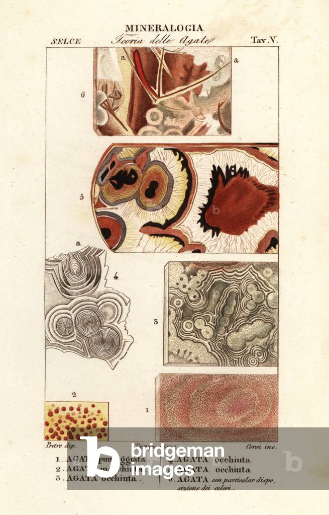 Dotted agate 1, spotted agate 2, eyed agate 3,4,5, agate 6