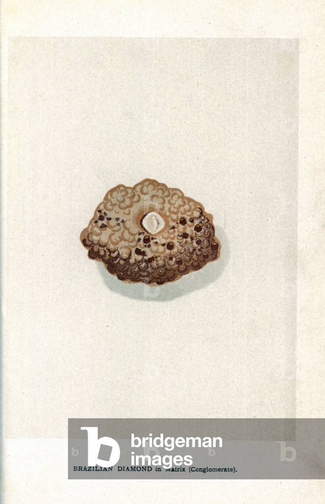 Bresilian diamond in his gangue. Chromolithography, in Precious Stones and Gems by Edwin Streeter, published in London, England, by George Bell and Sons, 1892.