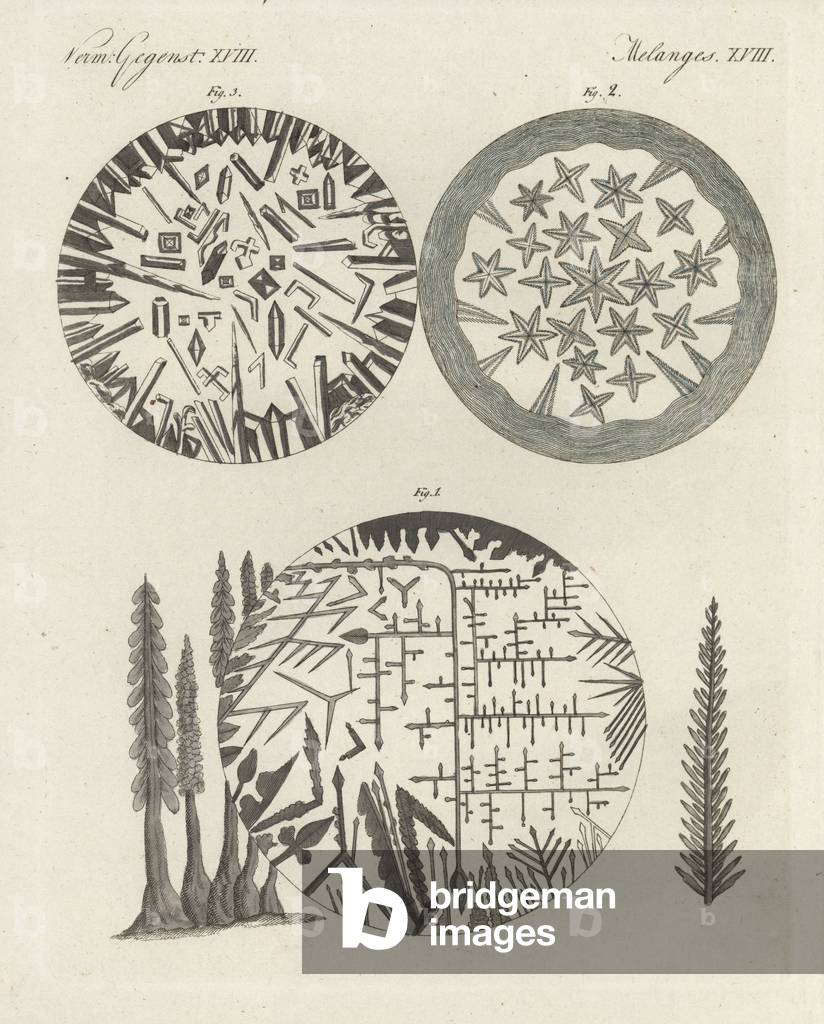 Crystals magnified under a microscope: silver solution and Diana's tree 1, camphor 2, and niter 3. Handcoloured copperplate engraving from Bertuch's “” Bilderbuch fur Kinder”” (Picture Book for Children), Weimar, 1798. Friedrich Johann Bertuch (1747-1822) was a German publisher and man of arts most famous for his 12-volume encyclopedia for children illustrated with 1,200 engraved plates on natural history, science, costume, mythology, etc., published from 1790-1830.