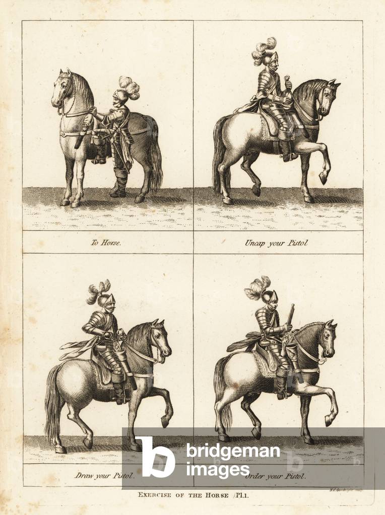 Exercise of the horse