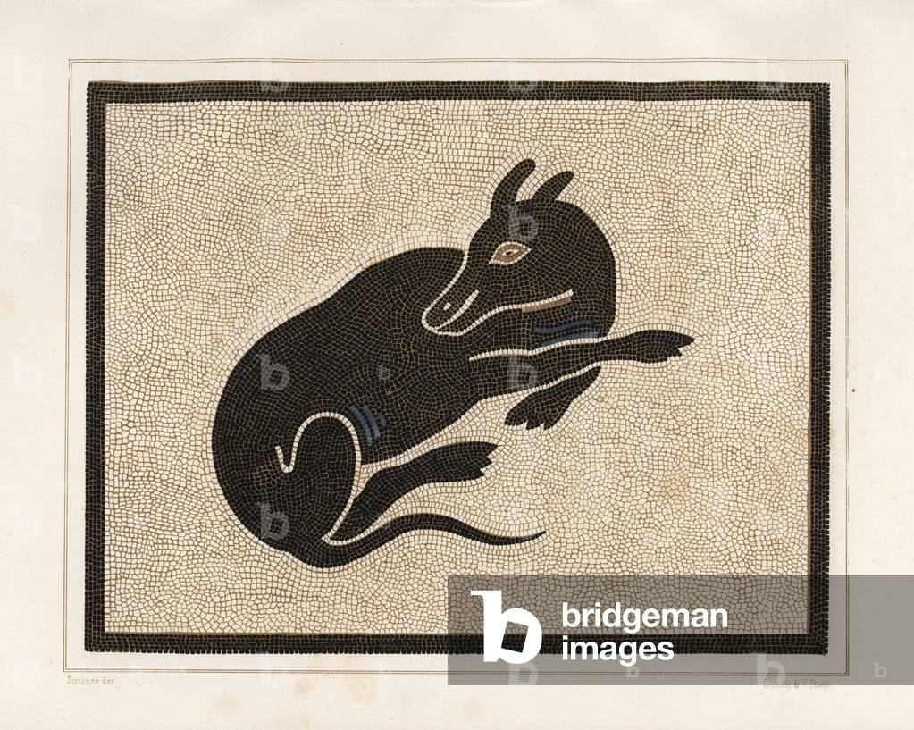 Mosaic picture of a guard dog in the house of Lucius Caecilius Iucundus. Chromolithograph by Victor Steeger after an illustration by Geremia Discanno from Emile Presuhn (1844-1878) The Most Beautiful Paintings of Pompeii, Leipzig, 1881.