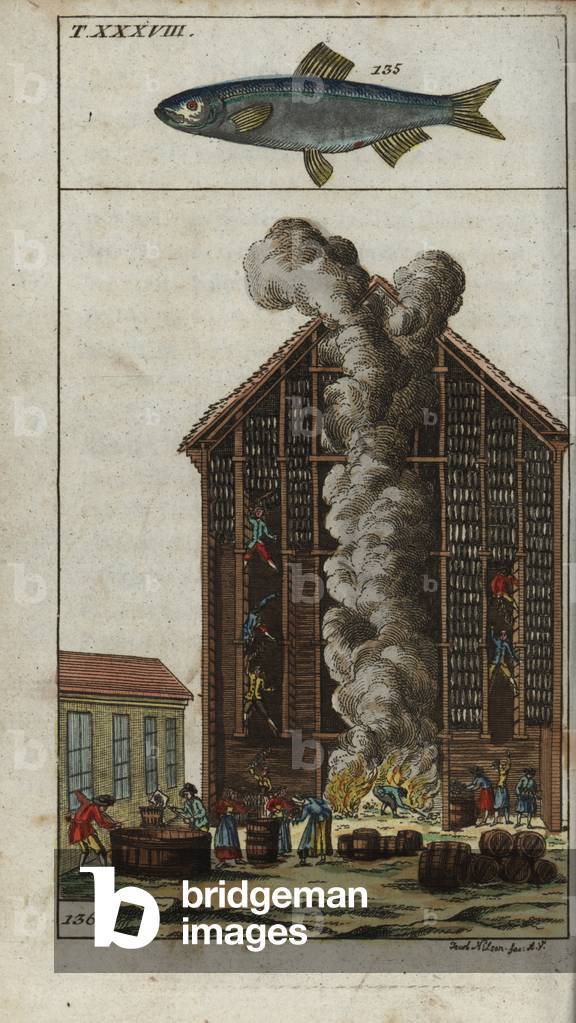 Sprat, Sprattus sprattus, and section through a smokehouse showing workers smoking herring in a kipper factory, 18th century. Handcolored copperplate engraving after Jacob Nilson from Gottlieb Tobias Wilhelm's Encyclopedia of Natural History: Fish, Augsburg, 1804. Wilhelm (1758-1811) was a Bavarian clergy and naturalist known as the German Buffon.