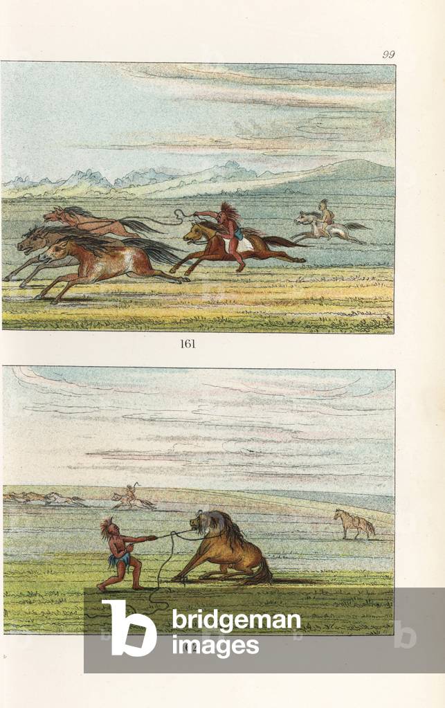 Native Americans capturing, breaking and taming wild horses with lasso. Handcoloured lithograph from George Catlin's Manners, Customs and Condition of the North American Indians, London, 1841.