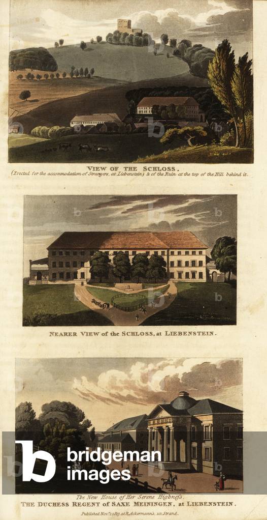 Views of the spa town of Bad Liebenstein, Germany, 1817 (engraving)