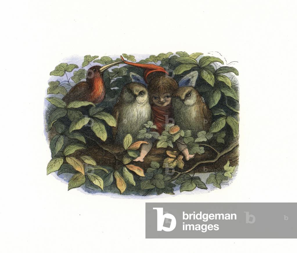 Elf and owls on a tree bough. Handcoloured woodblock print by Edmund Evans after an illustration by Richard Doyle from In Fairyland, a series of Pictures from the Elf World, Longman, London, 1870.