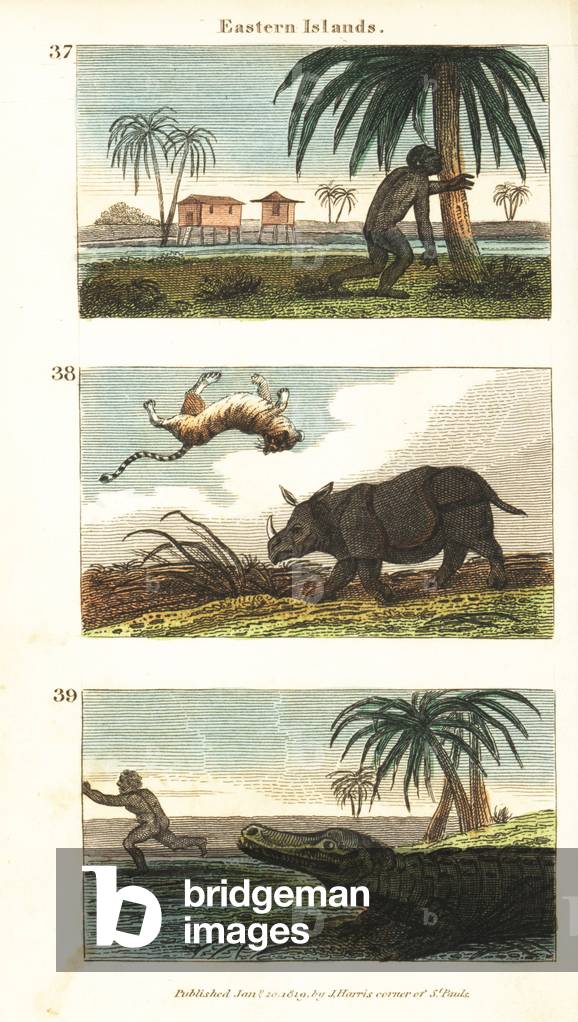 Historical views of the Eastern Islands (Indonesia)