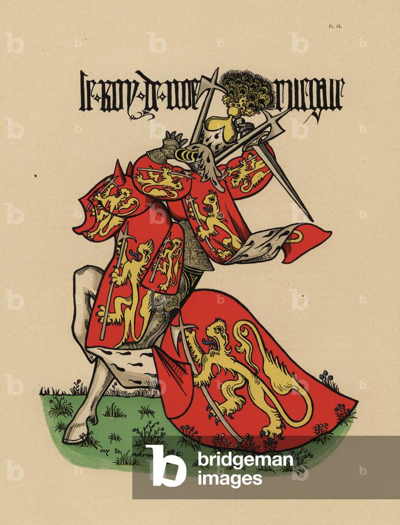 King of Norway, roi de Norvege