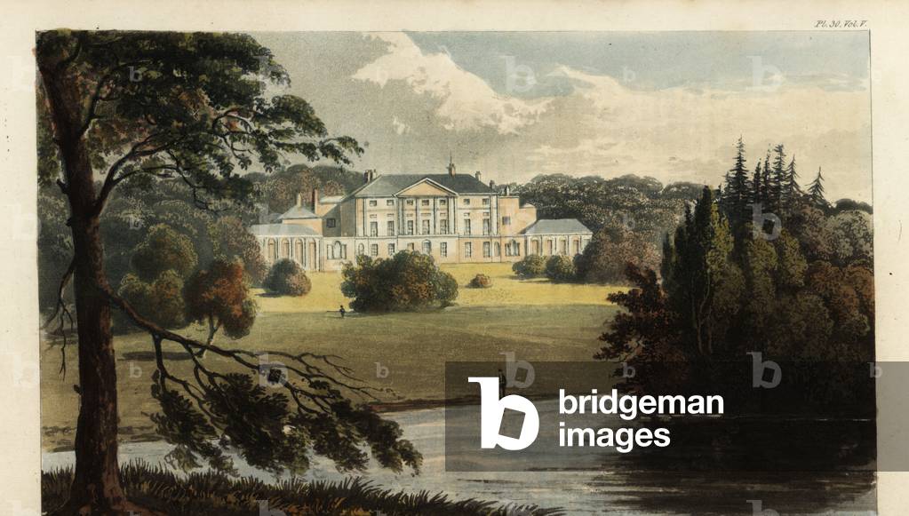 Enmore Castle, Somerset, the seat of the 3rd Earl of Egmont, 1825 (engraving)