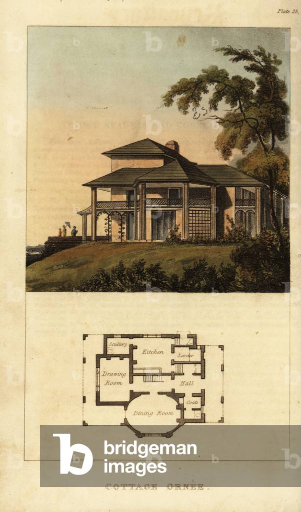 Plan and elevation of a Regency ornate cottage, cottage ornee, 1816 (engraving)