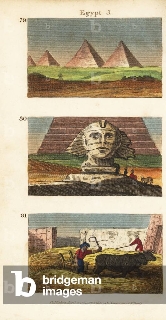 View of the pyramids 79, the Great Sphinx at Giza 80, and workers thrashing corn using oxen 81