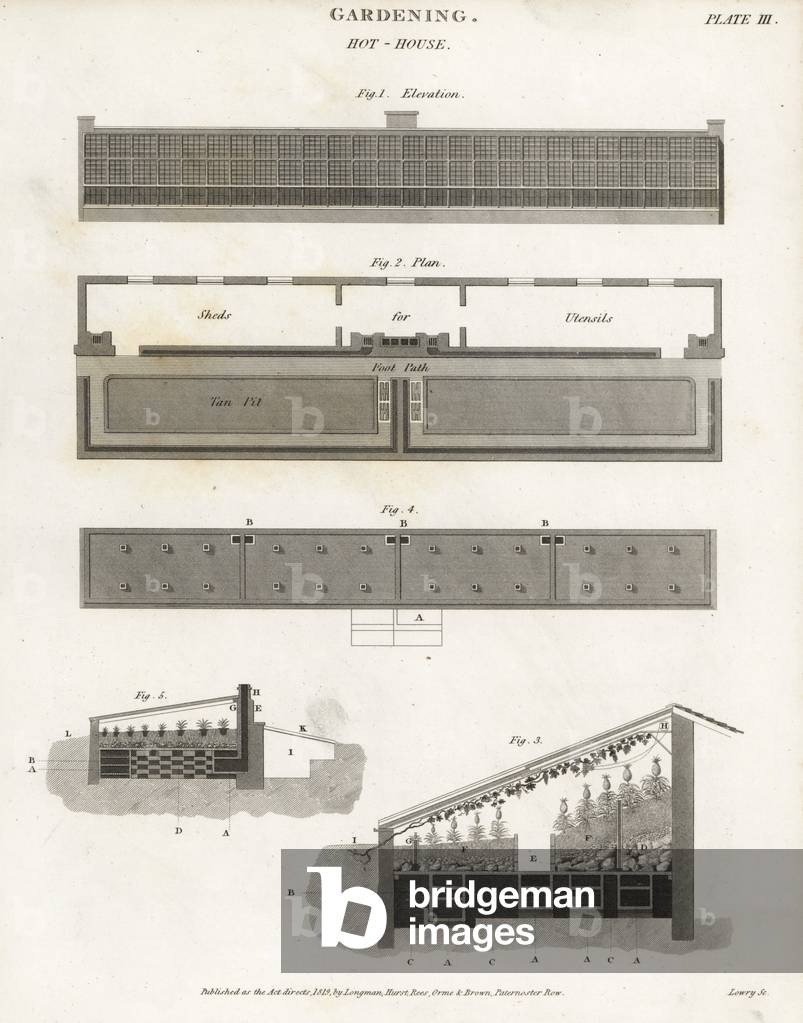 Plans and sections of a gardening hothouse or stove, 18th century. Copperplate engraving by Wilson Lowry after a drawing by John Farey from Abraham Rees' Cyclopedia or Universal Dictionary of Arts, Sciences and Literature, Longman, Hurst, Rees, Orme and Brown, London, 1819.