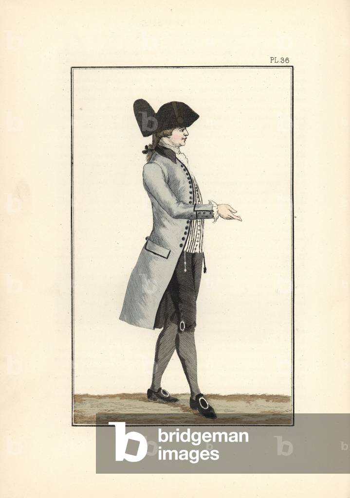 King Louis XVI in grey-white half-mourning clothes.