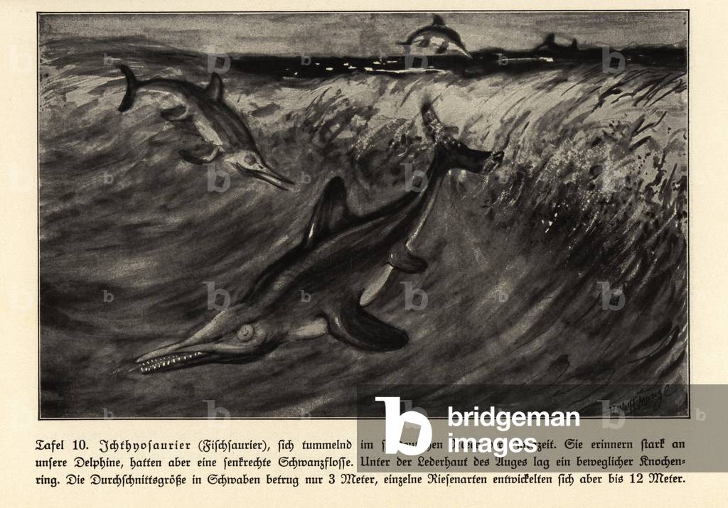 Reproduction of extinct Ichthyosaurs, Jurassic era.
