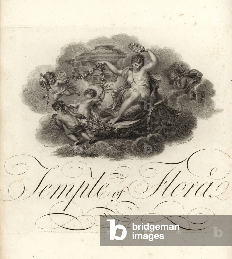 Temple of Flora, title page with vignette of cupids and Flora
