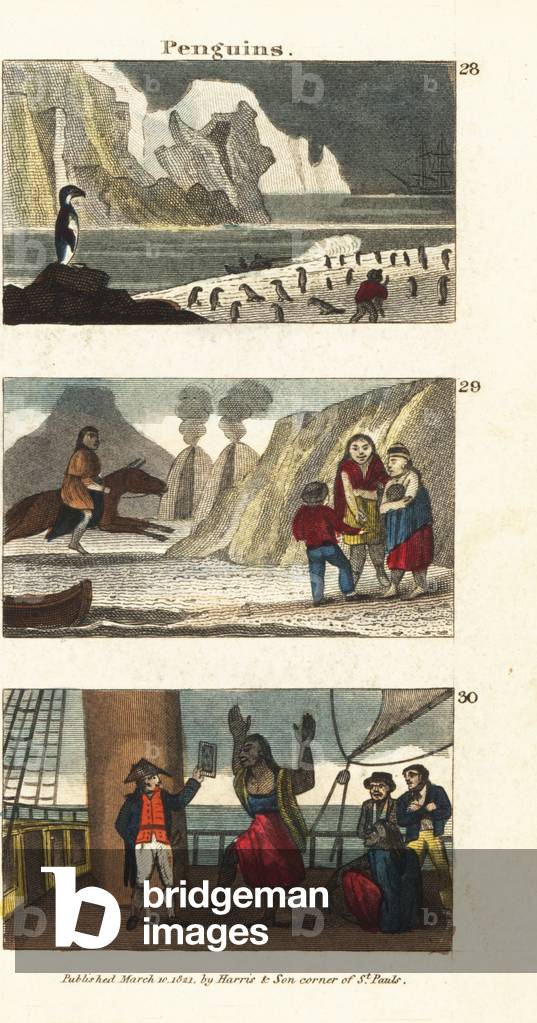 Penguins in South America 28, Patagonian giants in animal skins 29, and Patagonians delighted by the sight of a mirror on Captain Samuel Wallis’ ship 30