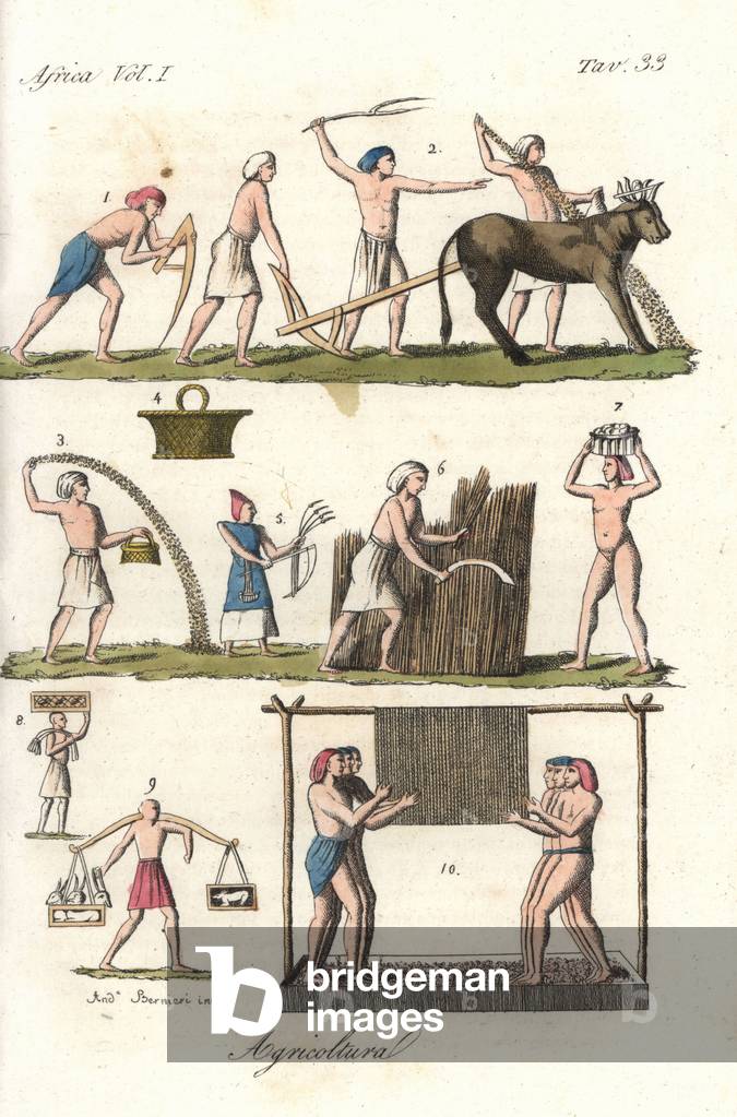 Egyptian agriculture: priest of Osiris with sceptre 1, following a man with plow behind two yoked oxen 2, man sowing seed 3 from a box 4, men harvesting wheat with a scythe 5,6, men carrying produce 7,8,9 and men pressing grapes while holding on to ropes hanging from a horizontal pole 10. Handcoloured copperplate engraving by Andrea Bernieri from Giulio Ferrario's Costumes Antique and Modern of All Peoples (Il Costume Antico e Moderno di Tutti i i Popoli), 1843.