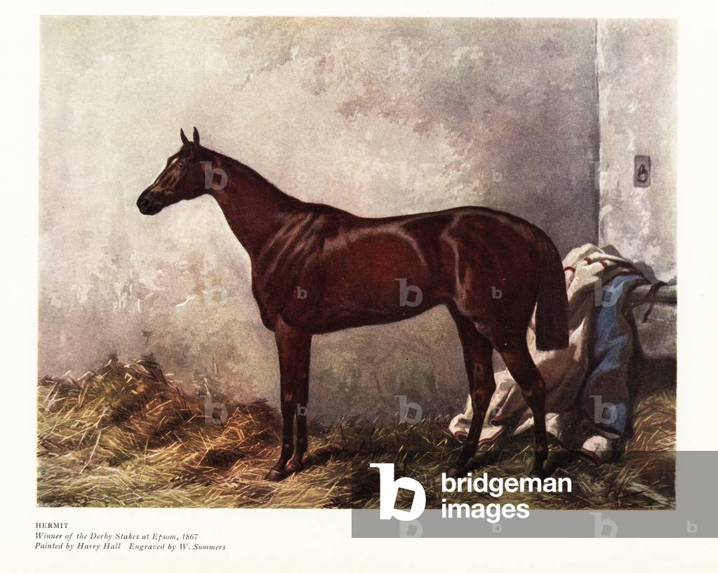 Hermit, winner of the Epsom Derby 1867. Winner of eight races and later a stud horse. Portrait of the chestnut thoroughbred horse in the stables. Color print after an engraving by W. Summers from a painting by Harry Hall in Ralph Nevill’s Old Sporting Prints, The Connoisseur Magazine, London, 1908.