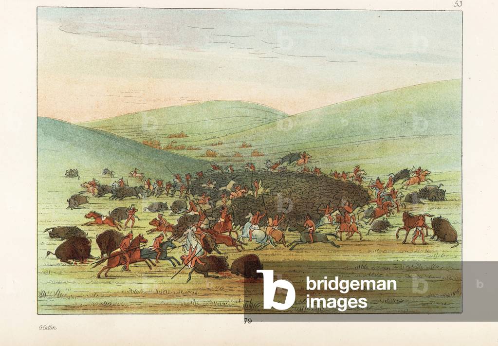 Minataree, Hidatsa or Minnetaree buffalo hunt. A hunting party surrounds and slaughters a huge herd of American bison. Handcoloured lithograph from George Catlin's Manners, Customs and Condition of the North American Indians, London, 1841.