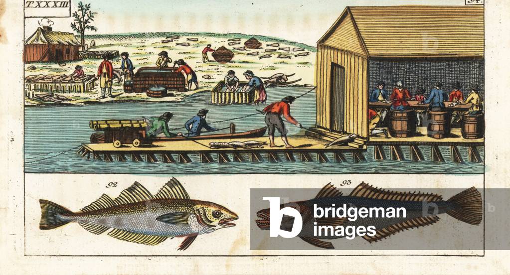 Common or European hake, or hake, colinet or bardot - preparation and salting of fish in a North American shed - Whiting, Merlangius merlangus 92 and hake, Merluccius merluccius 93. Workers gutting and salting fish in a shed on a dam above a river in North America. Handcolored copperplate engraving from Gottlieb Tobias Wilhelm's Encyclopedia of Natural History: Fish, Augsburg, 1804. Wilhelm (1758-1811) was a Bavarian clergy and naturalist known as the German Buffon.