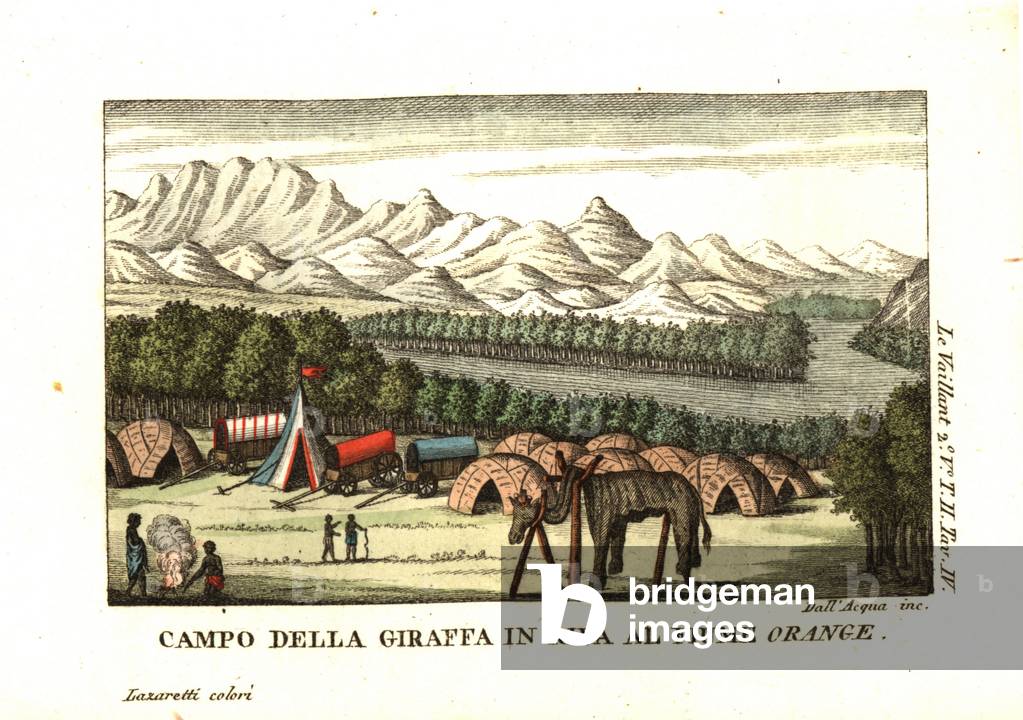 Le Vaillant's camp on the banks of the Orange River in the Richtersveld. A giraffe skin is undergoing taxidermy on a frame. From Francois Le Vaillant (Levaillant, 1753-1824) Second Voyage into the Interior of Africa. Copperplate engraving by dell'Acqua handcoloured by Lazaretti from Giovanni Battista Sonzogno's Collection of the Most Interesting Voyages (Raccolta de Viaggi Piu Interessanti), Milan, 1815-1817