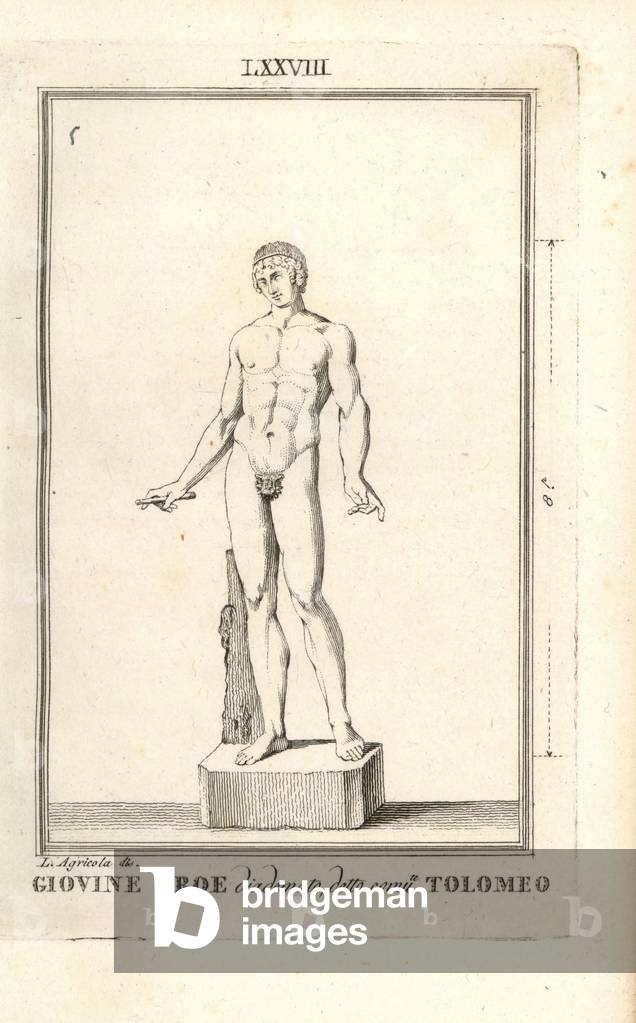 Young hero in a diadem, commonly known as Ptolemy of Epirus. Copperplate engraving after an illustration by L. Agricola from Pietro Paolo Montagnani-Mirabilii's Il Museo Capitolino (The Capitoline Museum), Rome, 1820.