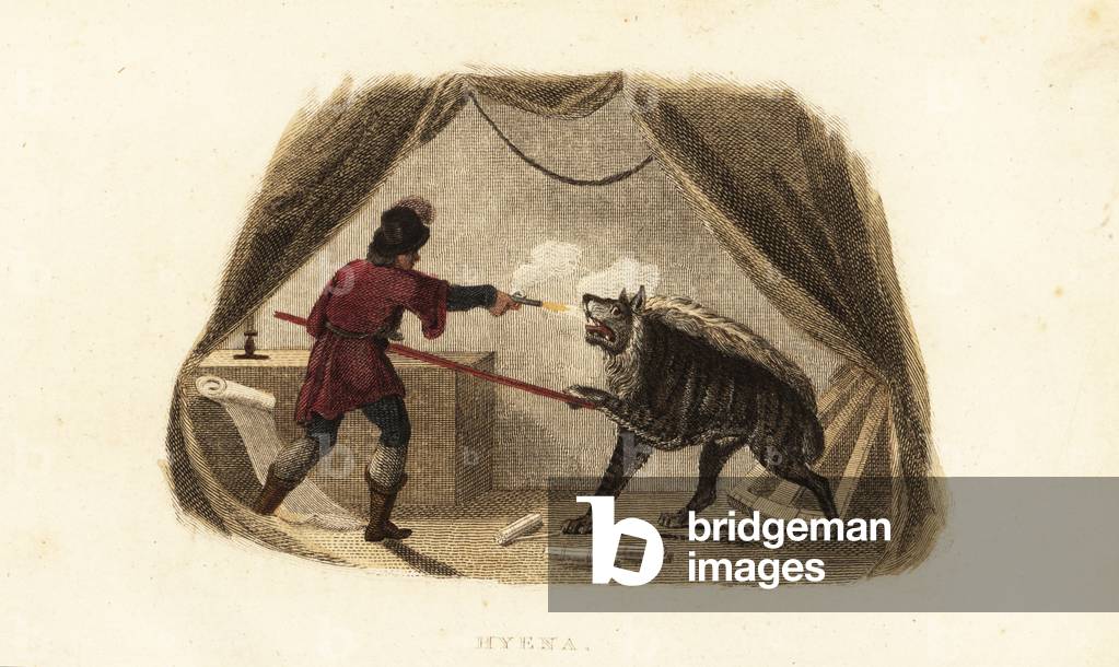 James Bruce killing a hyena with pistol and pike in his tent in Maitsha, Abyssinia (near Gondar, Ethiopia)