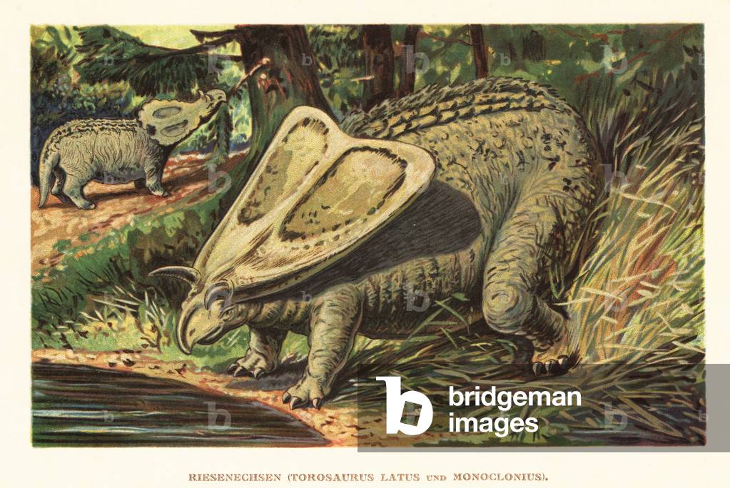 Monoclonius' images and/or videos results page 1 of 1