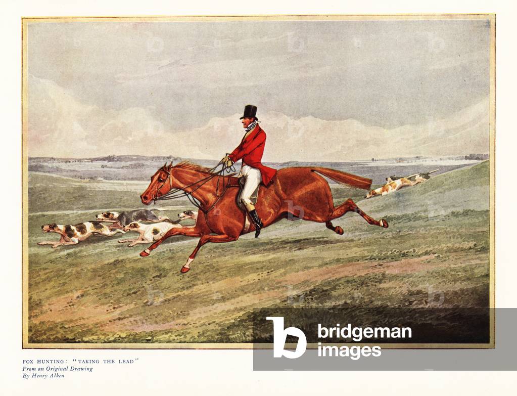 Fox hunting Taking the lead. Fox hunter in scarlet jacket galloping with fox hounds across a field, 1837. Color print after a painting by Henry Alken in Ralph Nevill’s Old Sporting Prints, The Connoisseur Magazine, London, 1908.