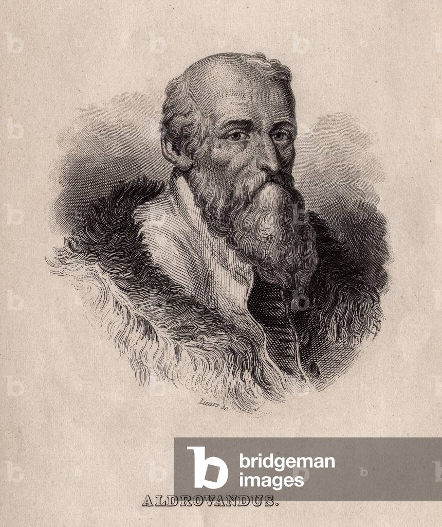 Portrait of Ulisse Aldrovandi (or Aldrovandus) (1522-1605), Italian naturalist, founder of the Botanical Garden of Bologna (Italy). Engraving by W.H. Lizars, in “The Naturalist Library” by Sir William Jardine, Edinburgh, Scotland, 1833.