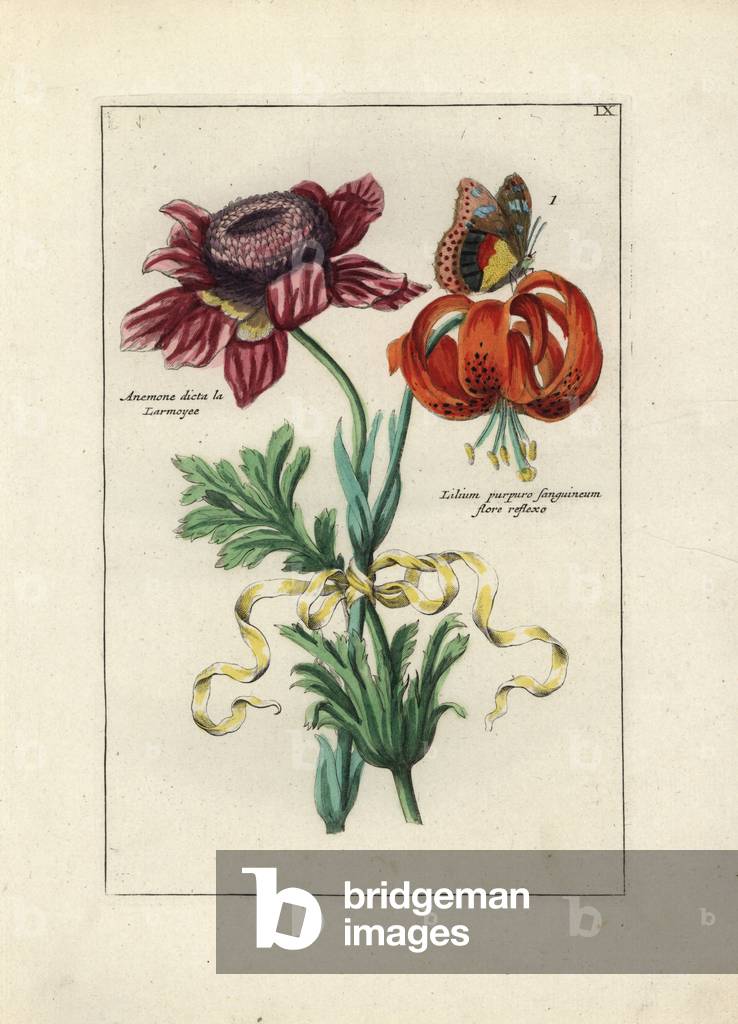 Lilies and anemone ties with a ribbon, with a butterfly - Lithography attributed to Paul Theodor van Brussel (1754-1795), author of the bouquet of the cover, or A.Bres., influenced by Nicolas Robert (1614-1685), published in “Nederlandsch Bloemwerk” (Dutch Floral Compositions), Amsterdam, J.B. Elwe, 1794