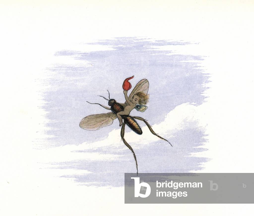 An elf flying away on an insect. Handcoloured woodblock print by Edmund Evans after an illustration by Richard Doyle from In Fairyland, a series of Pictures from the Elf World, Longman, London, 1870.