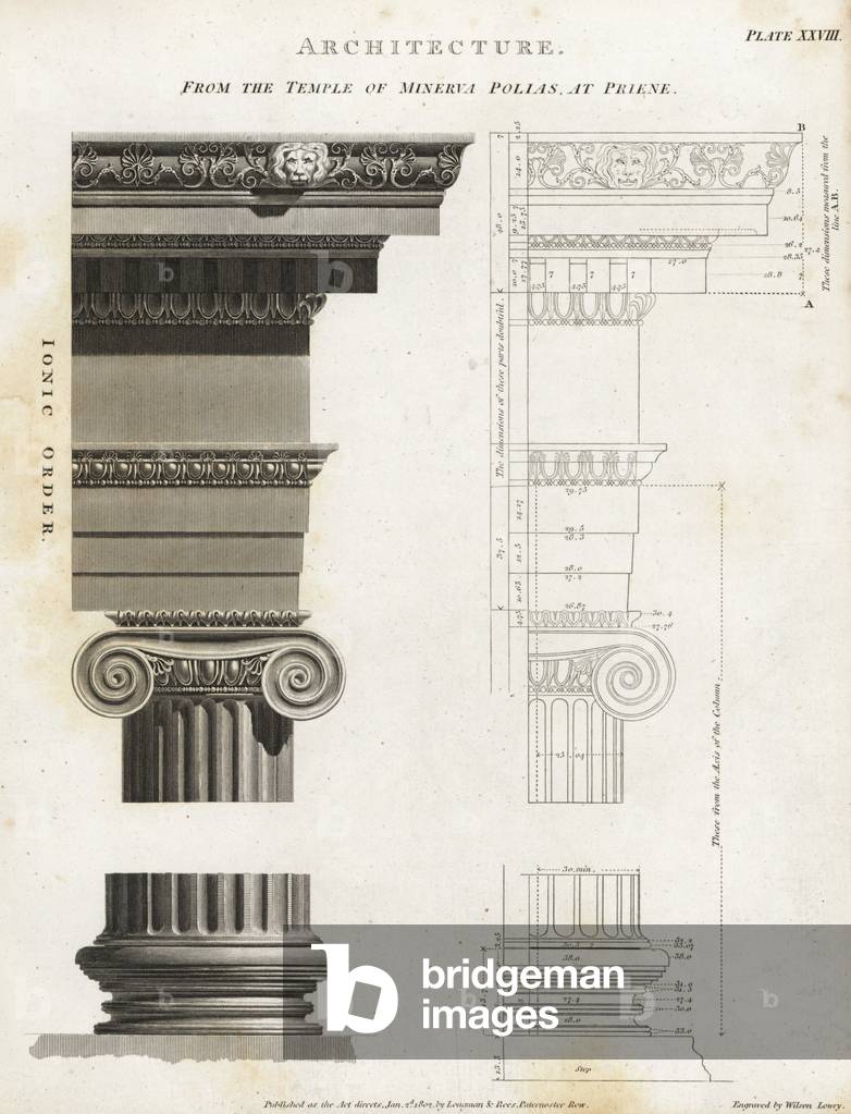 Ionic column from the temple of Minerva Polias at Priene. Copperplate engraving by Wilson Lowry from Abraham Rees' Cyclopedia or Universal Dictionary of Arts, Sciences and Literature, Longman, Hurst, Rees, Orme and Brown, London, 1820.