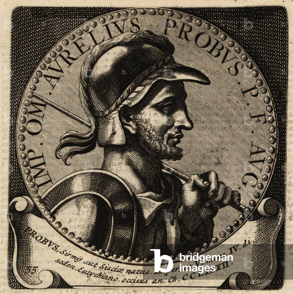 Portrait of Roman Emperor Probus.