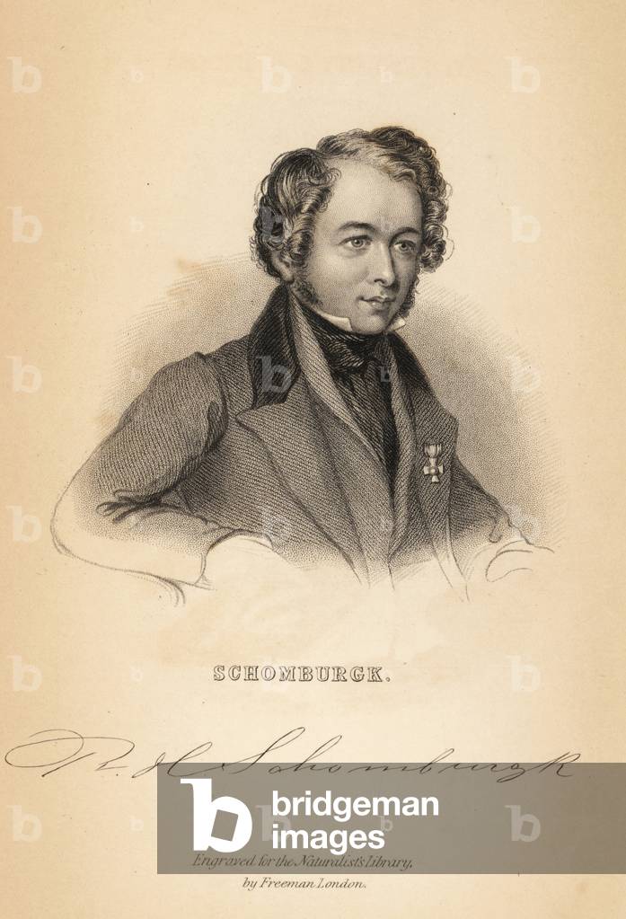 Portrait of Robert Schomburgk (1804-1865), Victorian ichthyologist, zoologist and diplomat. Steel engraving by Freeman from Robert Schomburg's Fishes of Guiana, part of Sir William Jardine's Naturalist's Library: Ichthyology, Edinburgh, 1841.