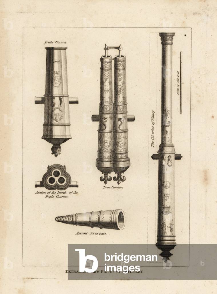 Extraordinary pieces of artillery: view and section of the culverine of Nancy, a triple cannon, a twin cannon and an ancient screwpiece