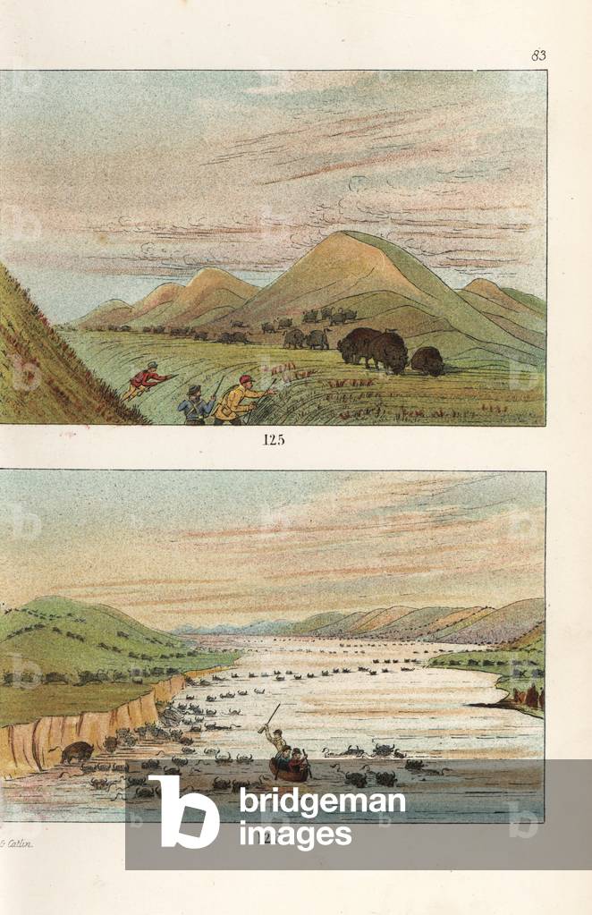George Catlin hunting American buffalo 125, and canoing in the Missouri river with a herd of buffalo in running season 126. Handcoloured lithograph from George Catlin's Manners, Customs and Condition of the North American Indians, London, 1841.