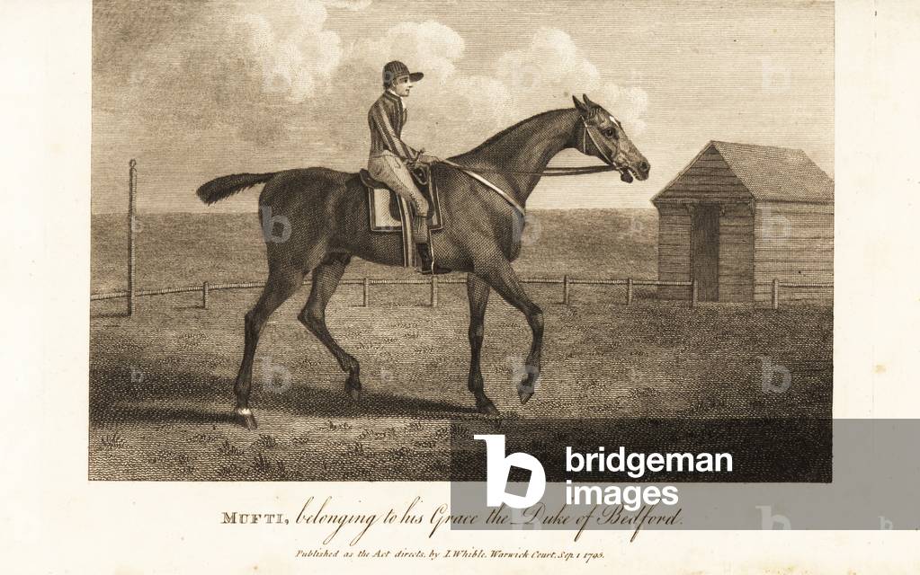 Jockey on the celebrated thoroughbred racer Mufti, belonging to his Grace the Duke of Bedford