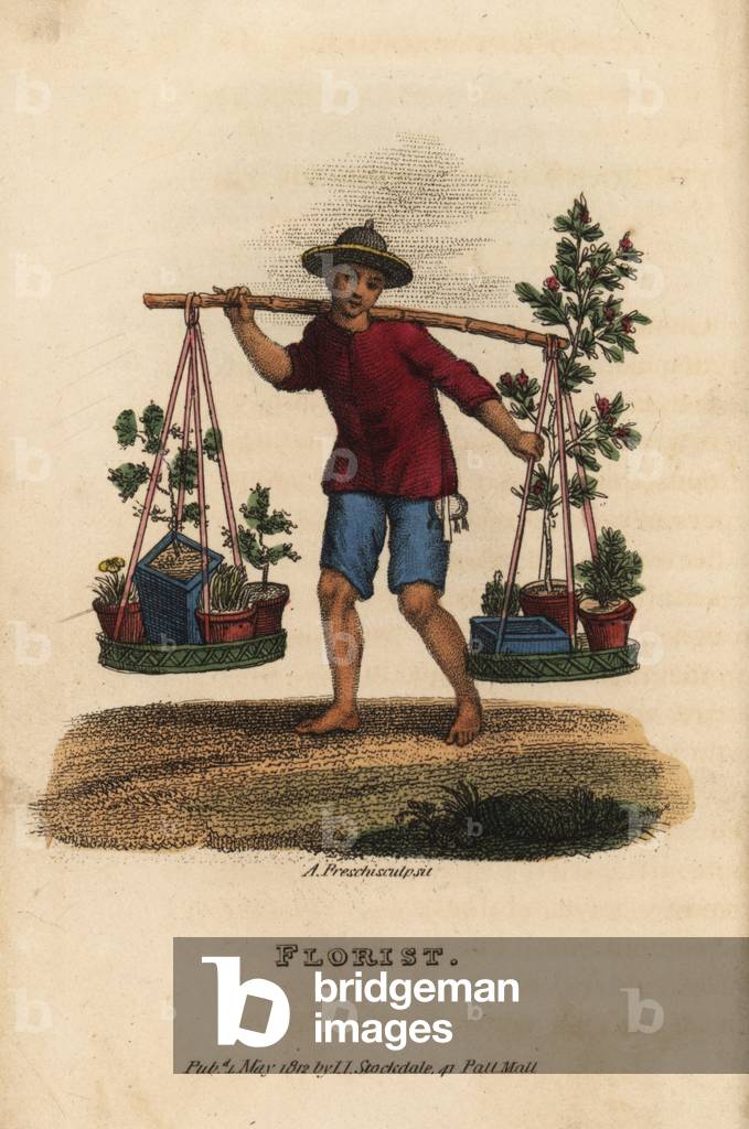 Chinese florist selling miniature trees and bushes, Penjing or Penzai, from a bamboo yoke, Qing Dynasty. Handcoloured copperplate engraving by Andrea Freschi after Antoine Cardon from Henri-Leonard-Jean-Baptiste Bertin and Jean Baptiste Joseph Breton's China, Its Costumes, Arts, Manufactures, etc., Howlett and Brimmer, London, 1824.
