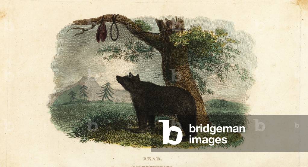 Koryak people’s method of hunting bear in the Russian Far East