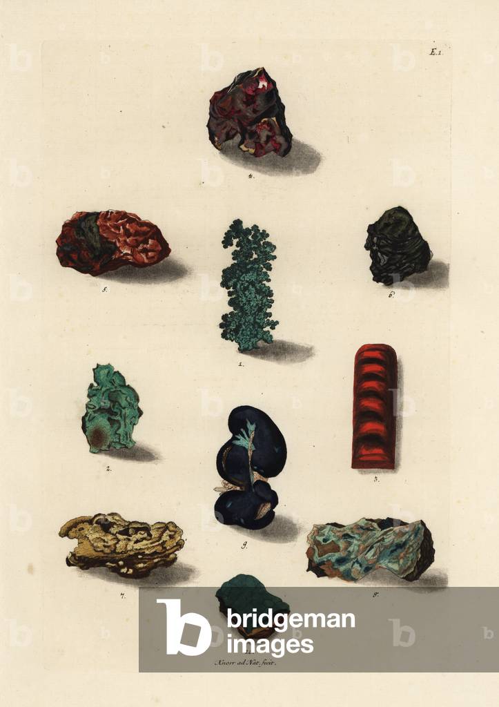 Varieties of copper, coppernickel and malachite ores. Handcoloured copperplate drawn and engraved by Georg Wolfgang Knorr from his Deliciae Naturae Selectae of Kabinet van Zeldzaamheden der Natuur, Blusse and Son, Nuremberg, 1771.