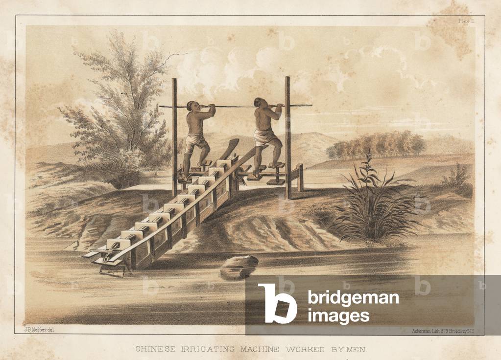 Chinese Irrigating Machine Worked by Men, 1855 (litho)