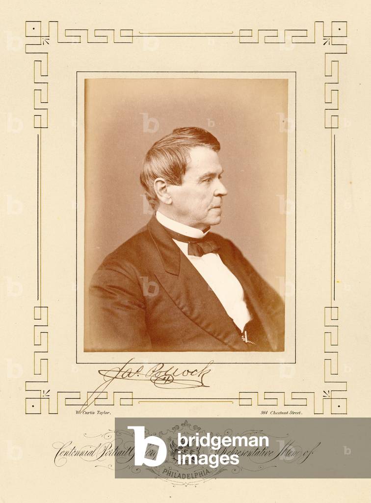 Portrait of James Pollock (albumen print)