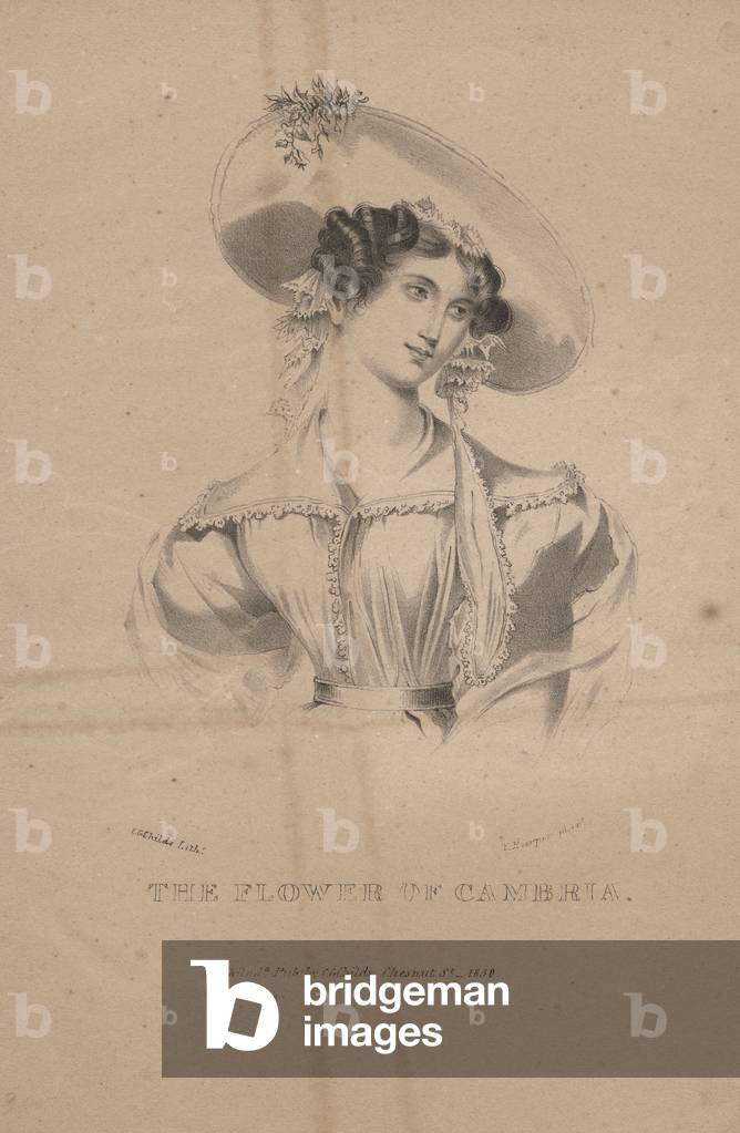 The Flower of Cambria, litho by C.G. Childs, 1830 (litho)