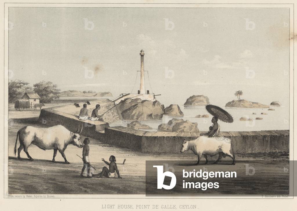 Light House, Point de Galle, Ceylon, 1855 (colour litho)