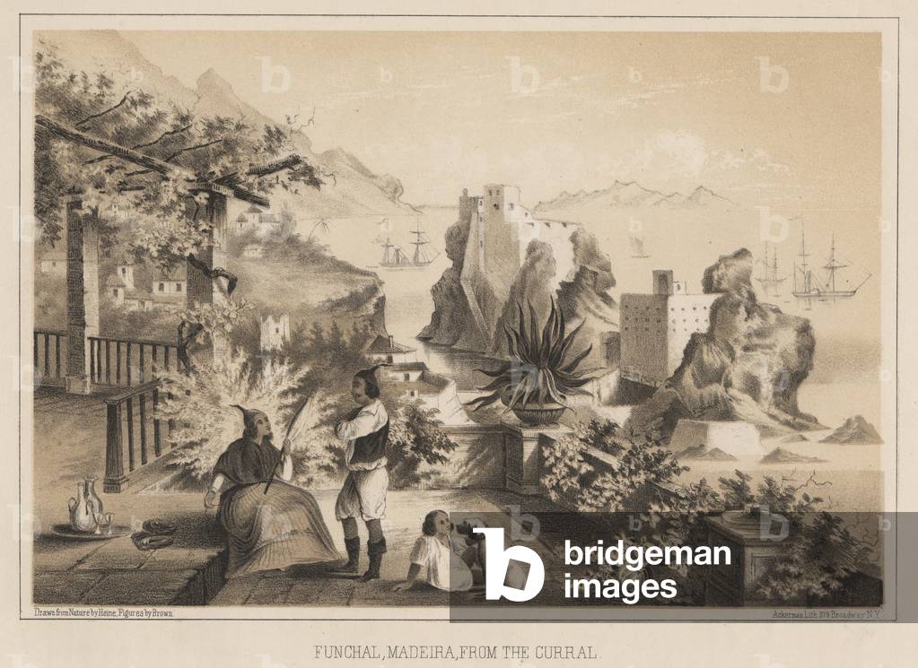 Funchal, Madeira, from the Curral, 1885 (litho)