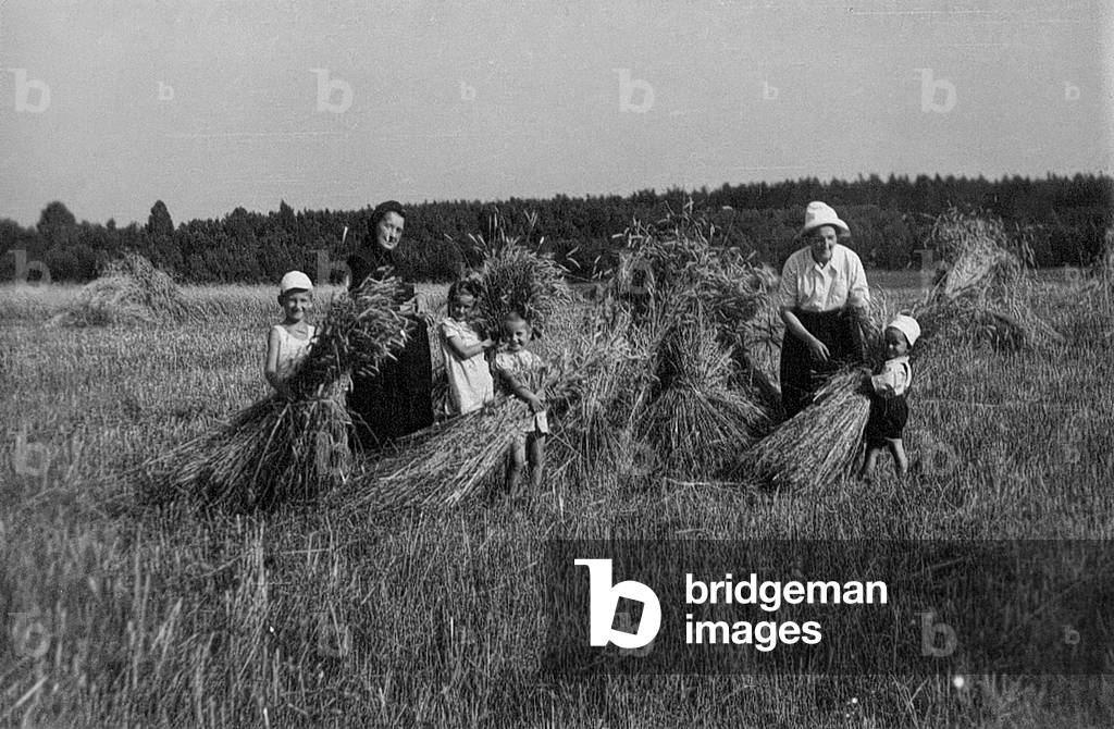 Harvest in Suchedniow 1944. 
